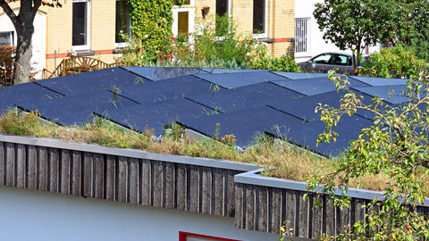 Anpassung an das Klima mithilfe begrünter Dächer.