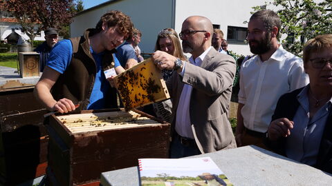 Staatssekretär Köfer schaut sich eine Honigwabe an