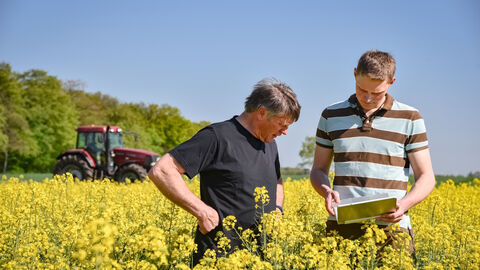 Zwei Männer in einem Rapsfeld schauen auf einen Laptop, im Hintergrund steht ein Traktor.
