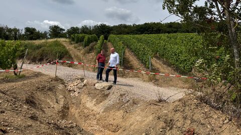 Der Rheingauer Weinbaupräsident Peter Seyffardt zeigt Weinbauminister Ingmar Jung die neu angelegten Rückhaltebecken, die Regenwasser im Weinberg halten. Der Rheingauer Weinbaupräsident Peter Seyffardt zeigt Weinbauminister Ingmar Jung die neu angelegten Rückhaltebecken, die Regenwasser im Weinberg halten.