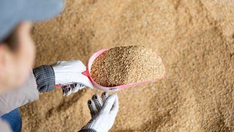 Futtermittel in einer Schaufel