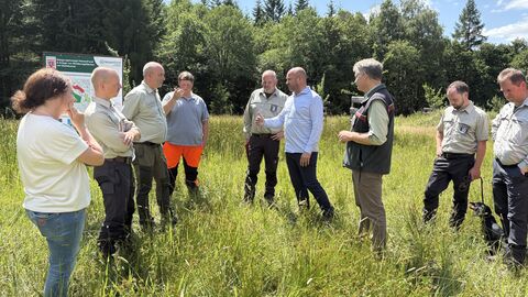 Sommertour 2025 - Besuch des Kaufunger Waldes