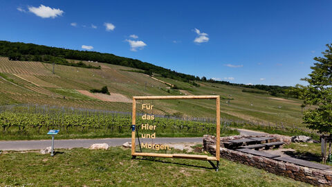 Naturbilderrahmen steht im Rheingau umgeben von Weinbergen