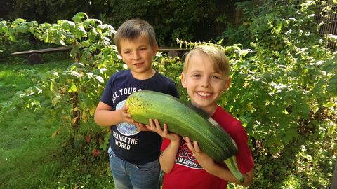Zwei Kinder im Garten mit einer Zucchini in den Händen