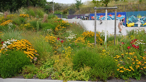 Begruenter Multifunktionsplatz