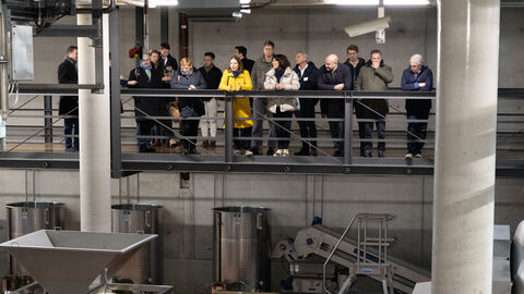 Führung durch das Weingut und die Abfüllanlage im Steinberg