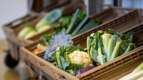Gemüsekisten mit Lauch, Blumenkohl und anderem Gemüse.