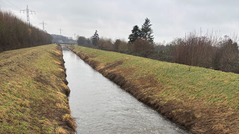 Der Fluss Weschnitz zwischen Biblis und Einhausen.