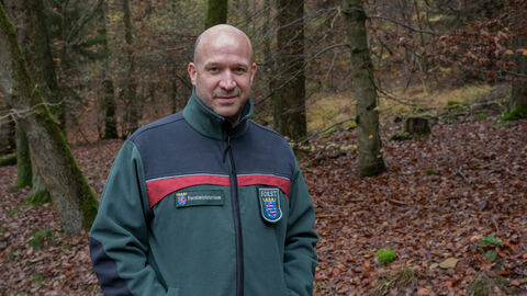 Hessens Landwirtschafts- und Forstminister Ingmar Jung.