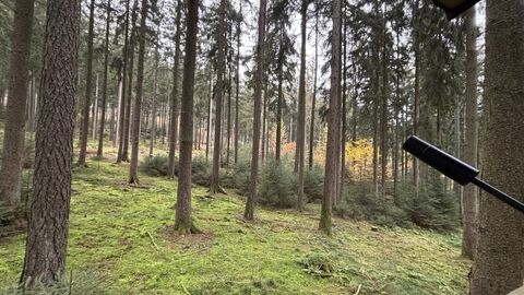 Aussicht von einem Hochsitz.