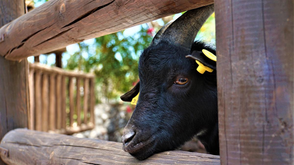 Spannungsfeld Landwirtschaft und Klima erleben | Hessen Landwirtschaft