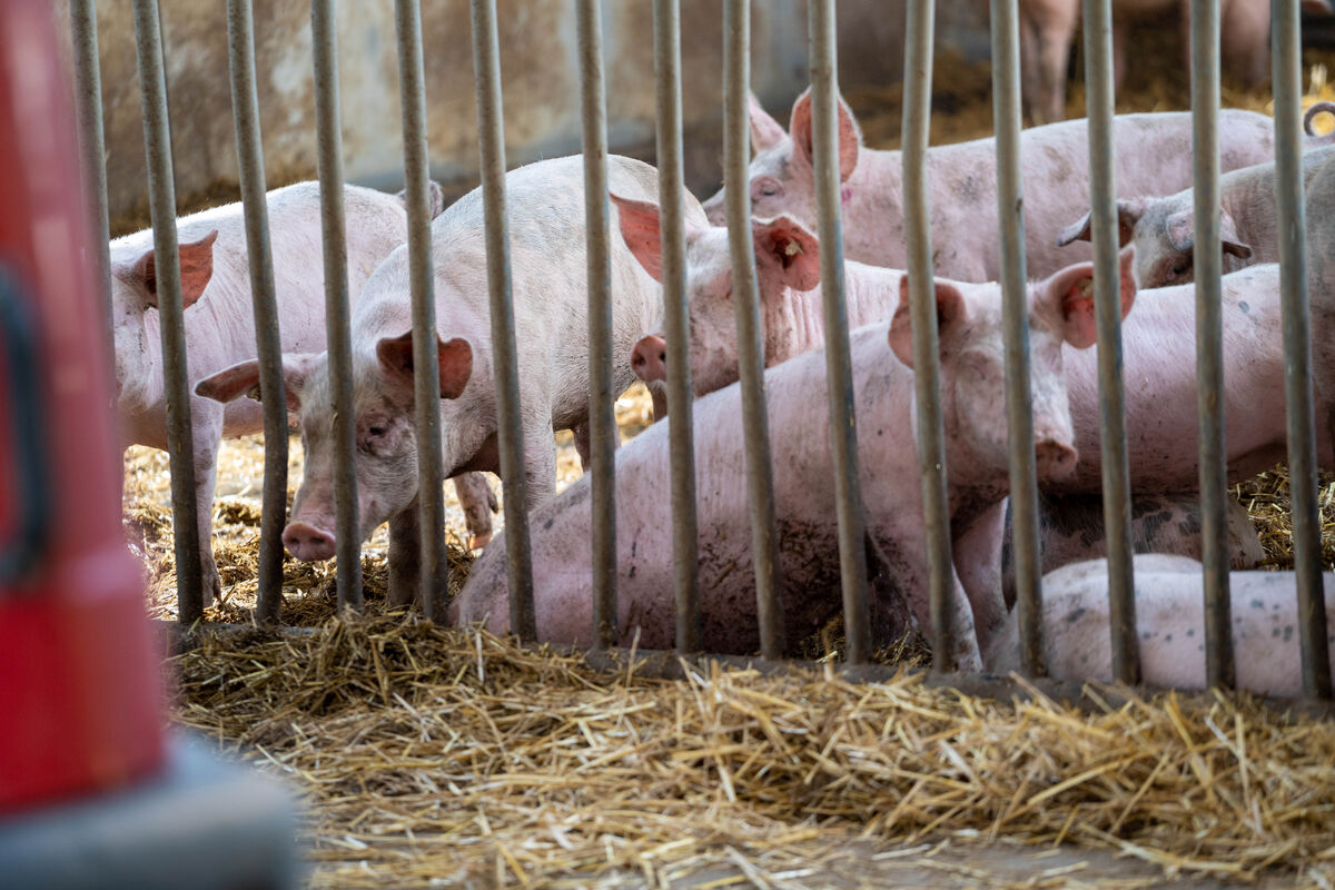 landwirtschaft.hessen.de