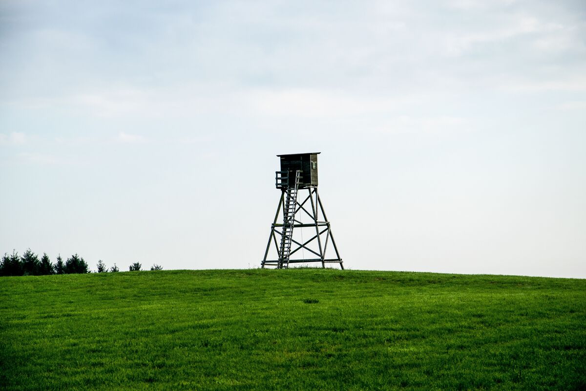 landwirtschaft.hessen.de