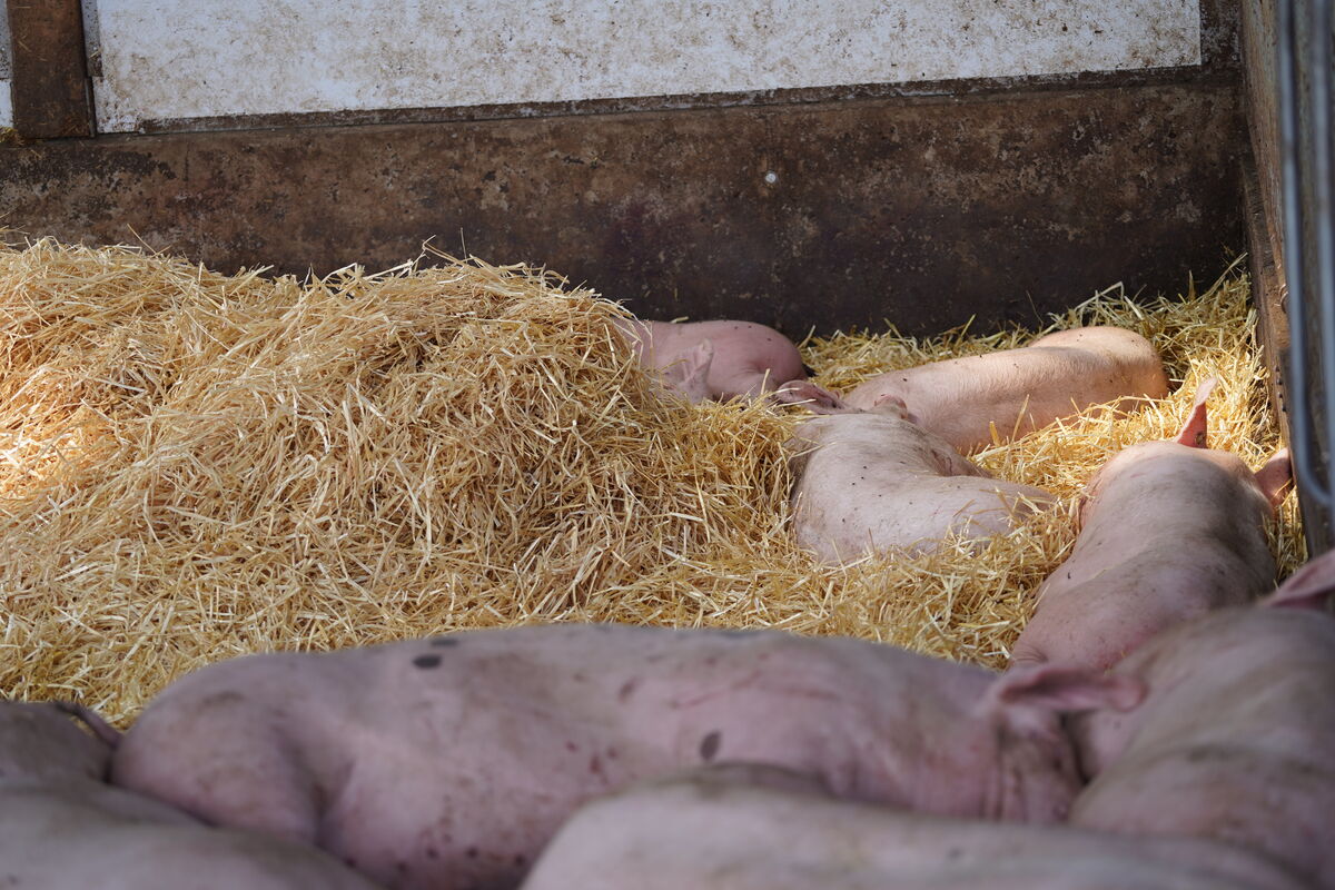 landwirtschaft.hessen.de