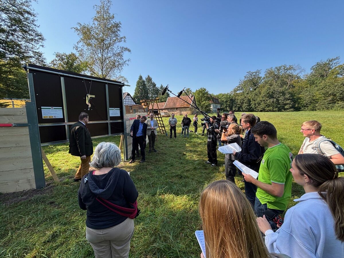 Infektionsketten unterbrechen: Nächste Schritte zur Bekämpfung der ASP