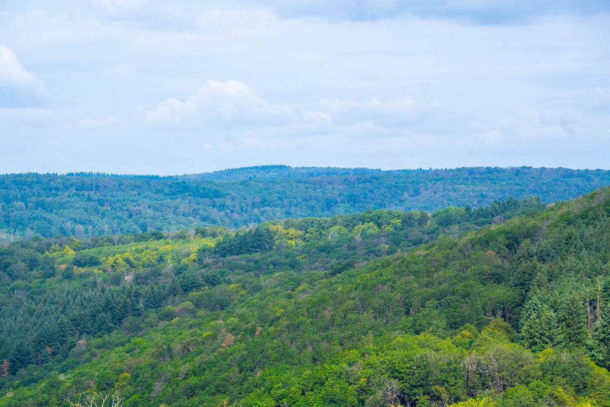 Organized Climate Crime & F-Gas Trafficking: Science-Policy Dialogue 2026